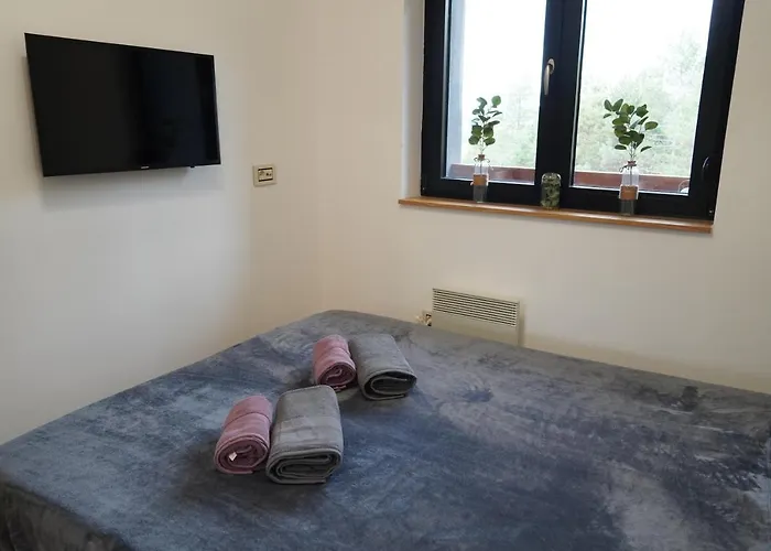 Dunja's Апартаменты Златибор